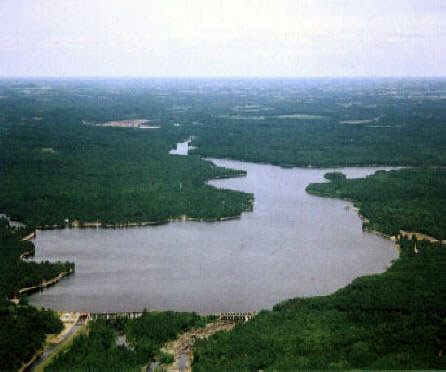 Aerial of Lake Arbutus